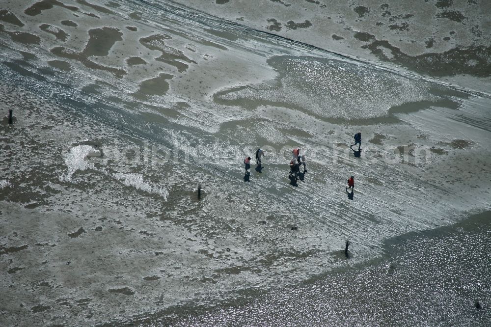 Neuwerk from the bird's eye view: Running, walking, riding and driving carriages at the beach with the Wadden Sea to the North Sea - Coastal landscape along the Neuwerk