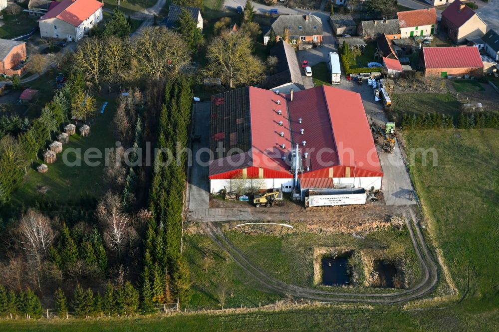 Aerial photograph Schapow - Buildings and production halls on the food manufacturer's premises Trebesch Champignonanbau in Schapow Uckermark in the state Brandenburg, Germany