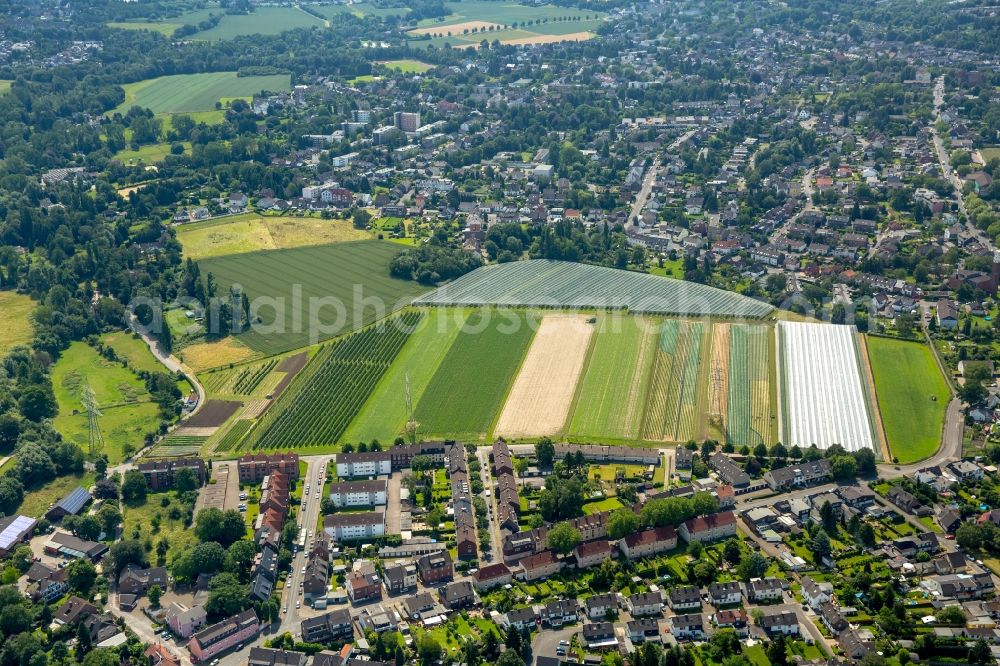 Aerial photograph Essen - Vacant buildings of the garden center Tricity Eck in Essen in North Rhine-Westphalia