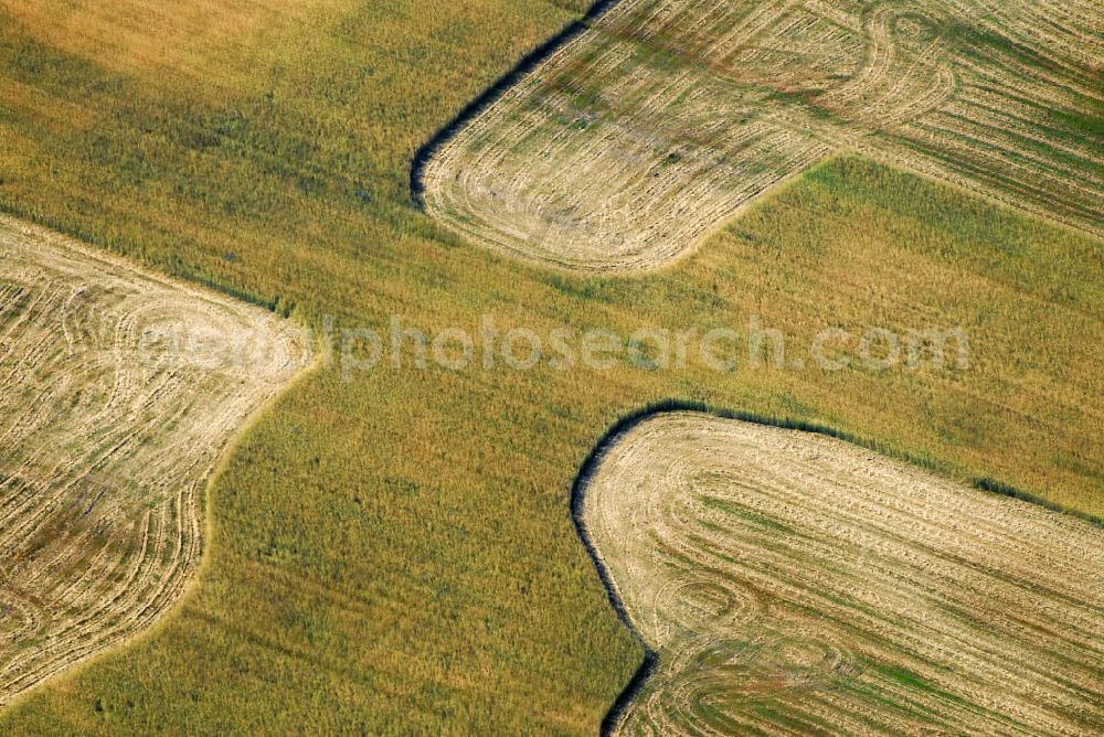 Jessen (Elster) from the bird's eye view: Blick auf Kornfeldkreise auf einem Feld bei Jessen.