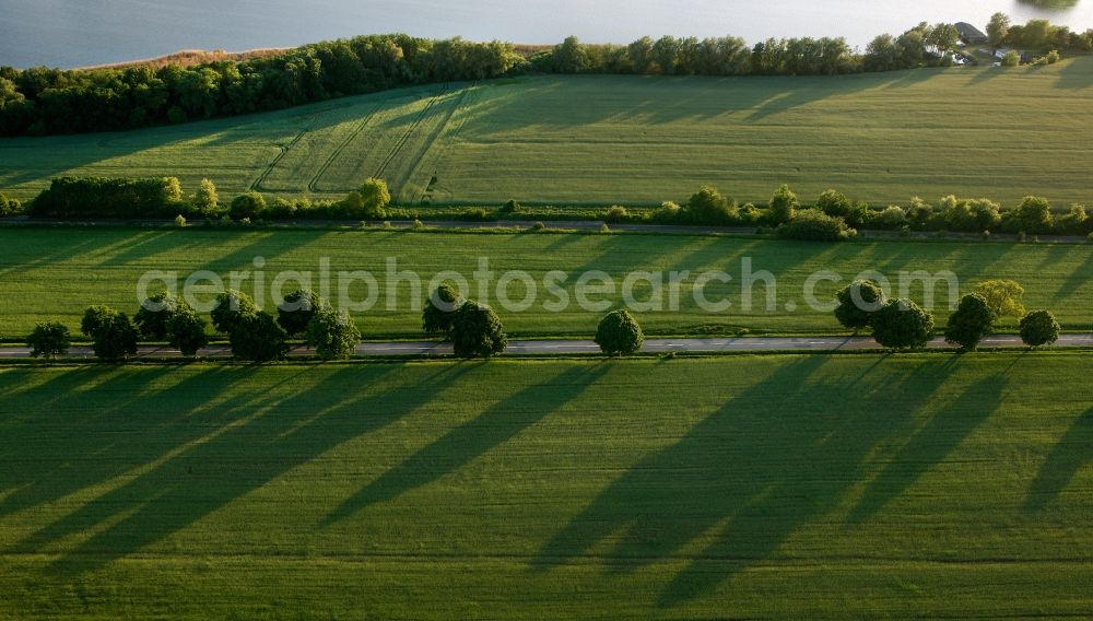 Aerial image Lärz - View of the road Lindenstrasse in Laerz in the state Mecklenburg-West Pomerania