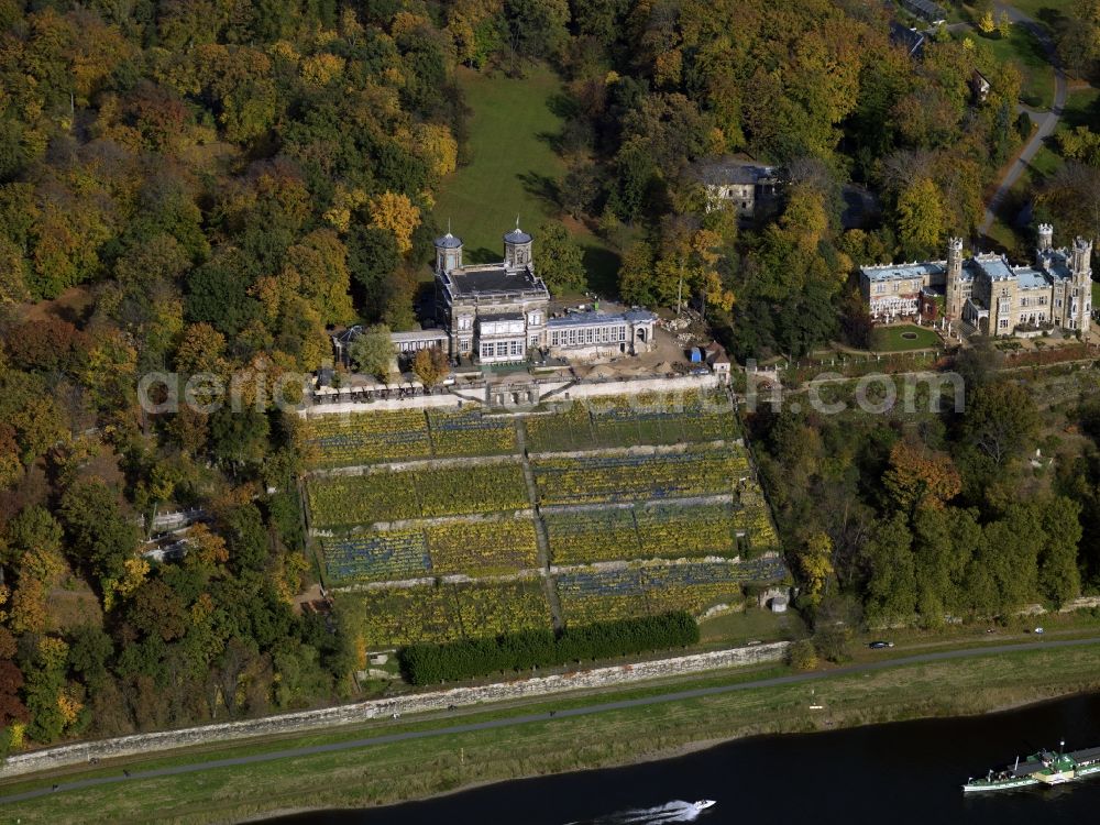 Aerial photograph Dresden - The palaces Lingnerschloss and Schloss Eckberg in Dresden in the state of Saxony. The Lingernschloss is the middle one of three castles located on the river Elbe in the Loschwitz part of Dresden. The compound consists of several parks in the english style and form terraces towards the river