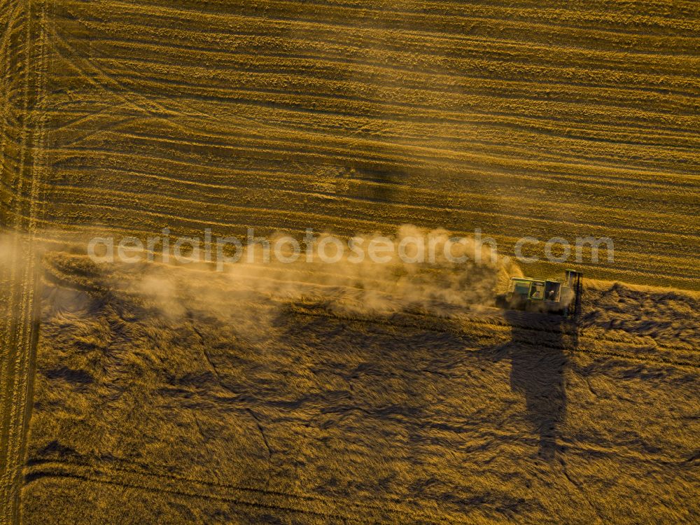 Hohnstein from the bird's eye view: Linear swath structures on a grain field in Hohnstein in the state Saxony, Germany