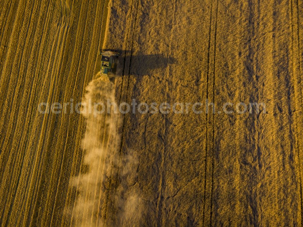 Aerial image Hohnstein - Linear swath structures on a grain field in Hohnstein in the state Saxony, Germany