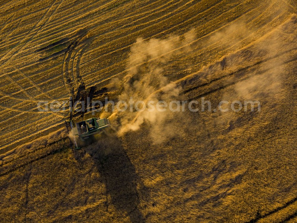 Aerial photograph Hohnstein - Linear swath structures on a grain field in Hohnstein in the state Saxony, Germany