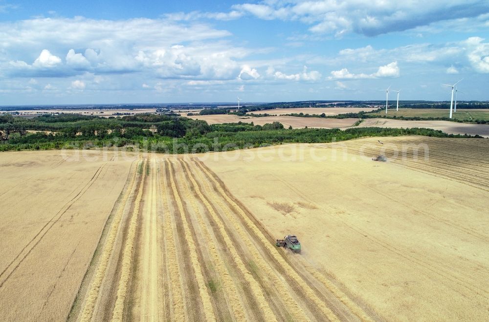 Mallnow from the bird's eye view: Linear swath structures on a grain field in Mallnow in the state Brandenburg, Germany