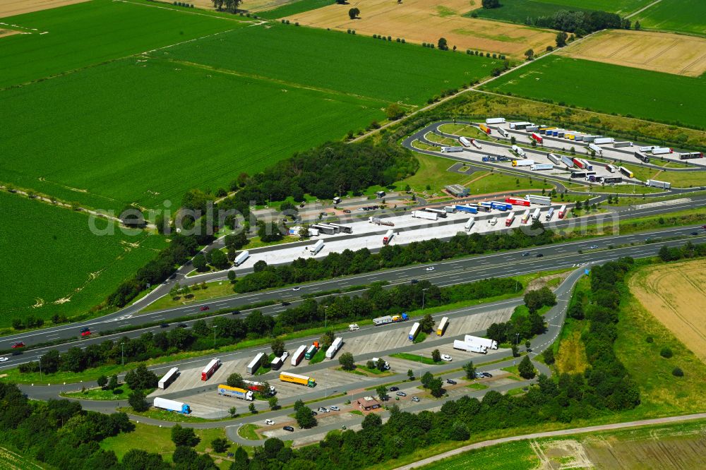 Bantorf from the bird's eye view: Lorries - parking spaces at the highway rest stop and parking of the BAB A 2 - Rastplatz Bueckethaler Knick Sued in Bantorf in the state Lower Saxony, Germany