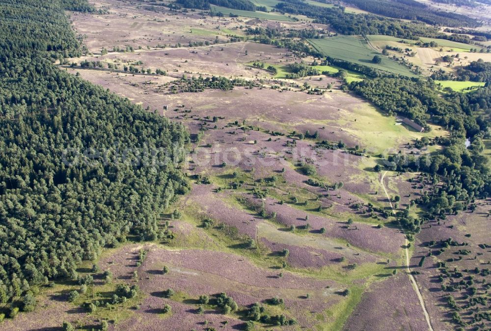 Schneverdingen from the bird's eye view: Lüneburg Heath in north-east of Lower Saxony