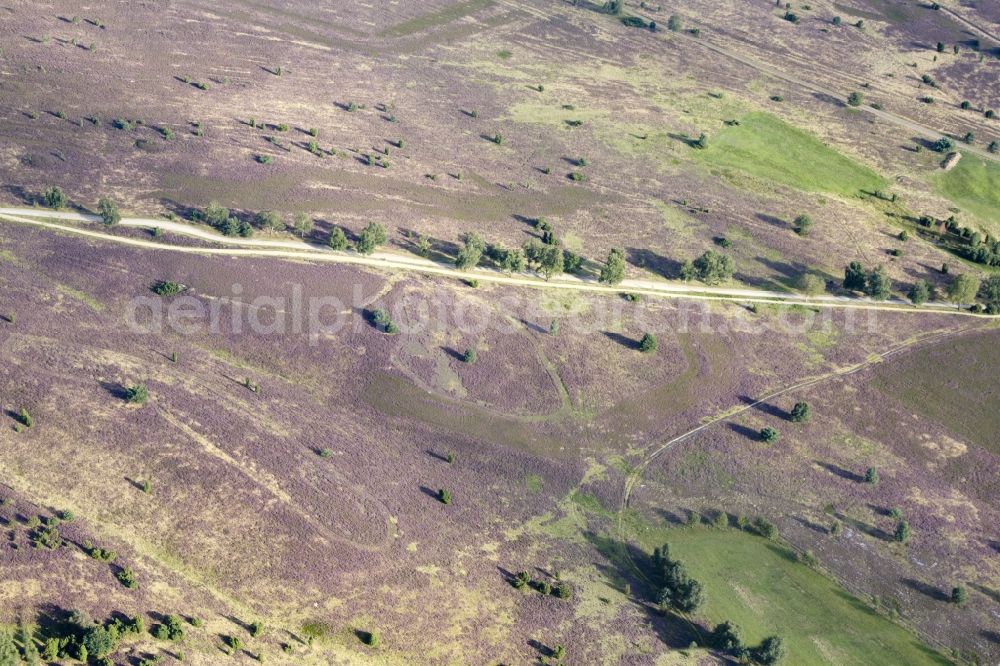 Schneverdingen from above - Lüneburg Heath in north-east of Lower Saxony