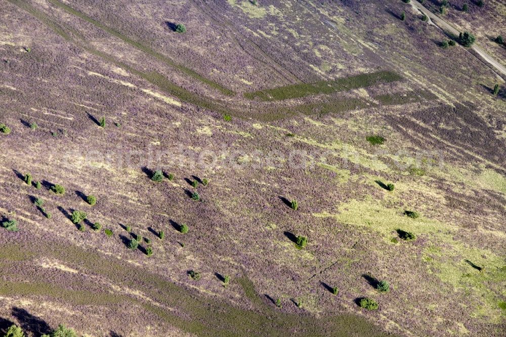 Aerial image Schneverdingen - Lüneburg Heath in north-east of Lower Saxony