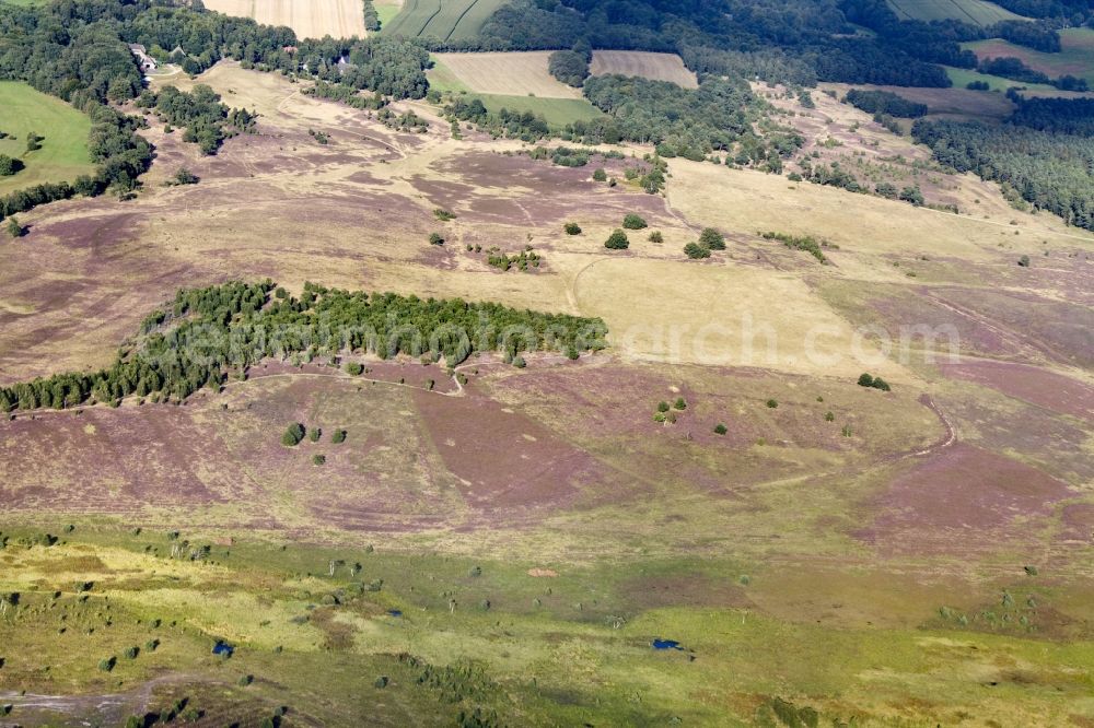 Aerial photograph Schneverdingen - Lüneburg Heath in north-east of Lower Saxony