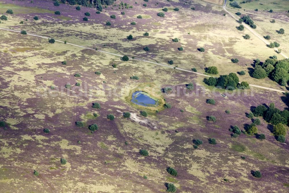 Schneverdingen from the bird's eye view: Lüneburg Heath in north-east of Lower Saxony