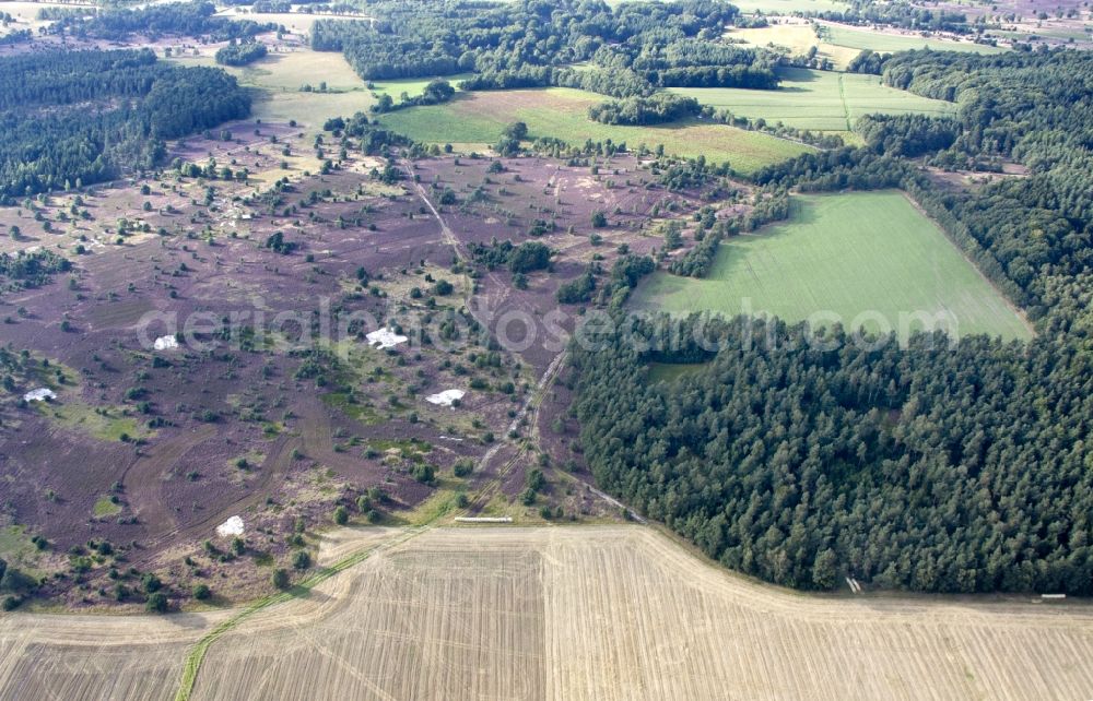 Schneverdingen from above - Lüneburg Heath in north-east of Lower Saxony