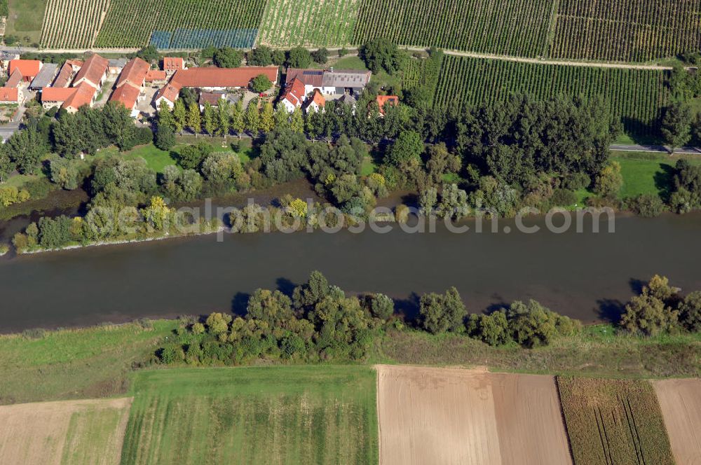 Frickenhausen am Main from the bird's eye view: Blick aus Süden über den Uferbereich am Main auf Frickenhausen mit Weinbergen.