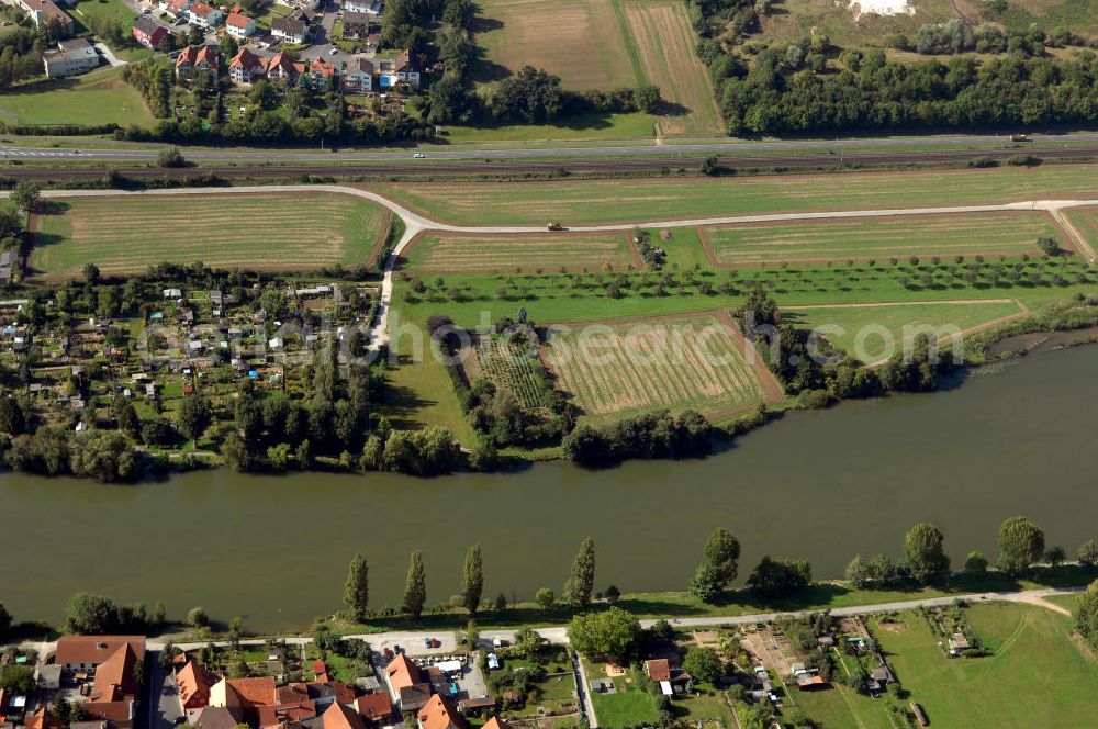 Ochsenfurt from the bird's eye view: Blick aus Norden über den Uferbereich am Main auf eine Ochsenfurter Kleingartenanlage.