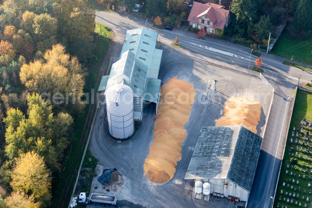 Aerial photograph Niederrœdern - Piles of Mais on the court yard of High silo and grain storage with adjacent storage Comptoir agricole - NIEDERROEDERN in NiederrA?dern in Grand Est, France