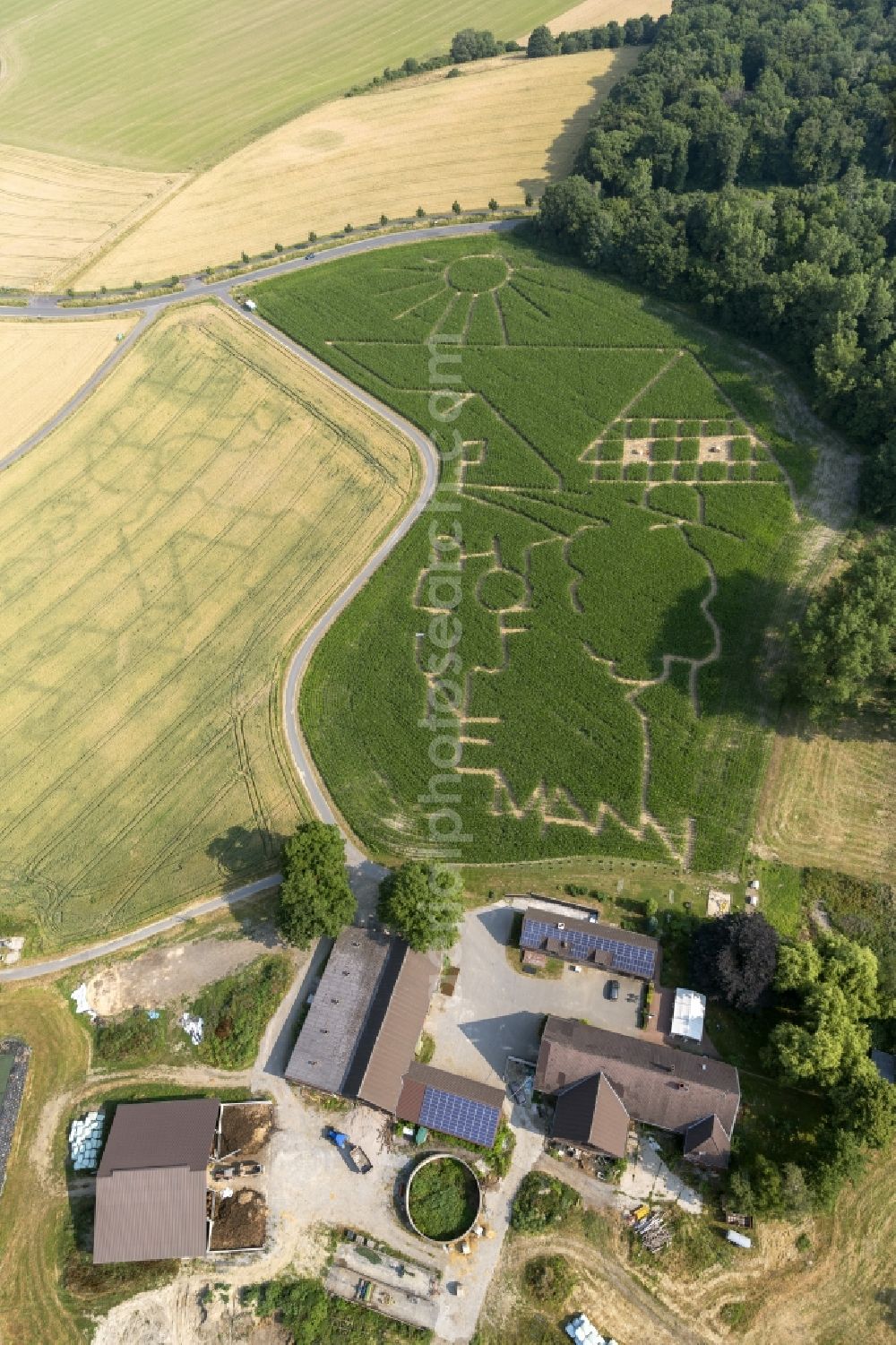 Lünen from the bird's eye view: Corn maze on a farm near Luenen in North Rhine-Westphalia