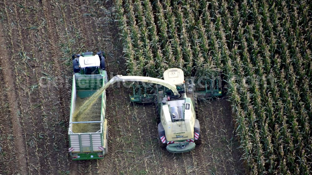 Königswinter from above - Corn harvest in the state North Rhine-Westphalia, Germany