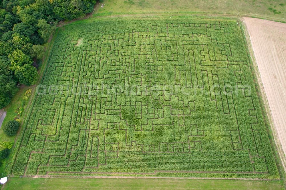 Witzenhausen from the bird's eye view: Corn field with labyrinthine labyrinthine horticultural structures in Witzenhausen in Hesse