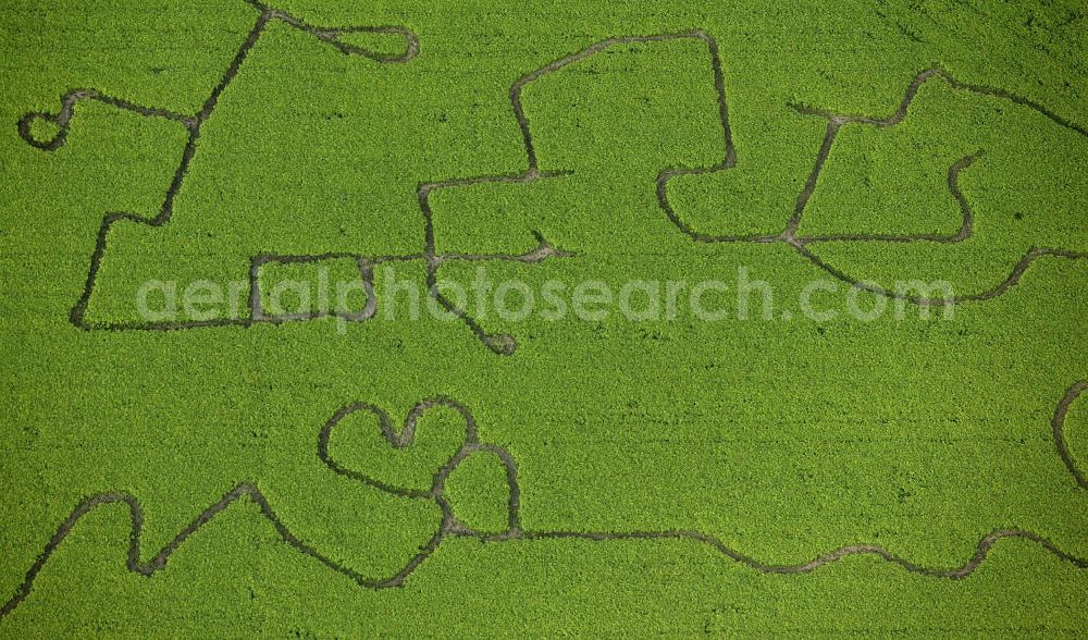 Waltrop from the bird's eye view: Blick auf ein Maislabyrinth mit Liebesbotschaft. View of a corn maze with a love message.