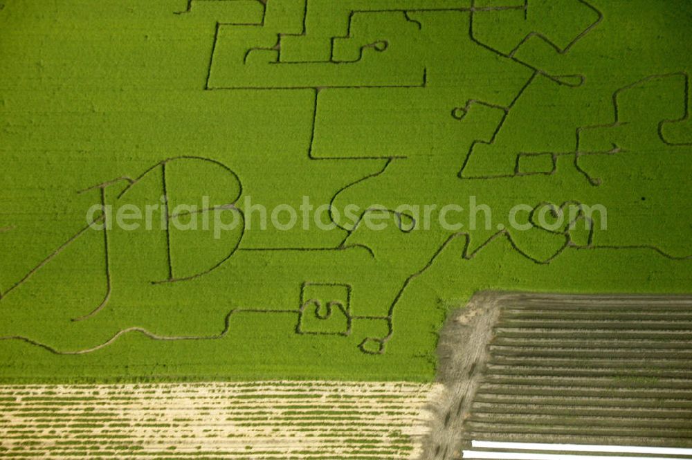 Aerial image Waltrop - Blick auf ein Maislabyrinth mit Liebesbotschaft. View of a corn maze with a love message.