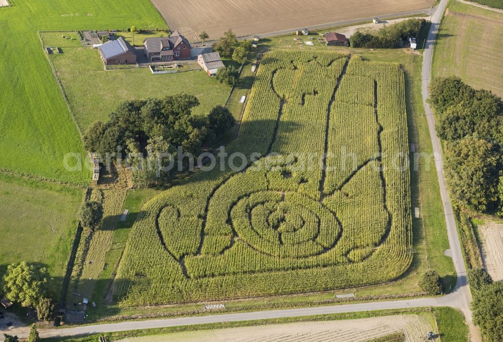 Aerial photograph Schermbeck - Corn maze in the peasantry Brackenberg best in Schermbeck in North Rhine-Westphalia