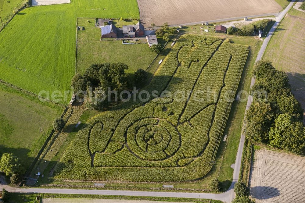 Schermbeck from the bird's eye view: Corn maze in the peasantry Brackenberg best in Schermbeck in North Rhine-Westphalia