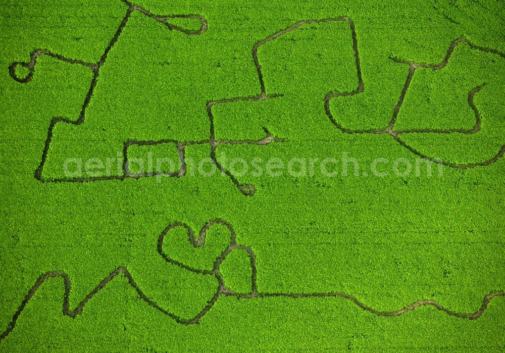 Aerial image Waltrop - Corn maze with love message on Waltrop in North Rhine-Westphalia