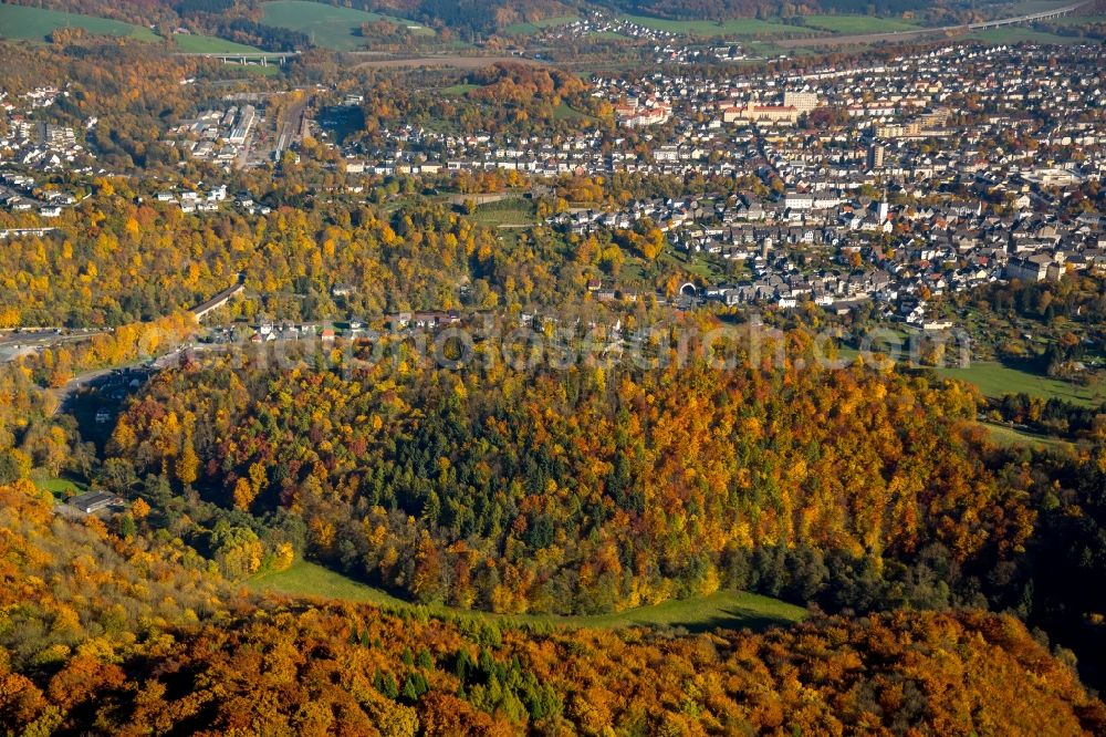 Arnsberg from the bird's eye view: Sea colorful colored leaves on the treetops in an autumnal deciduous tree - woodland in Arnsberg in the state North Rhine-Westphalia