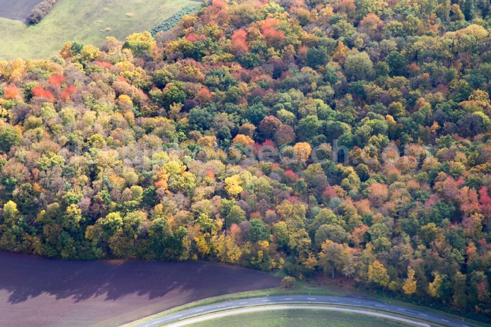 Aerial photograph Bad Neustadt - Sea colorful colored leaves on the treetops in an autumnal deciduous tree - woodland in Bad Neustadt in the state Bavaria