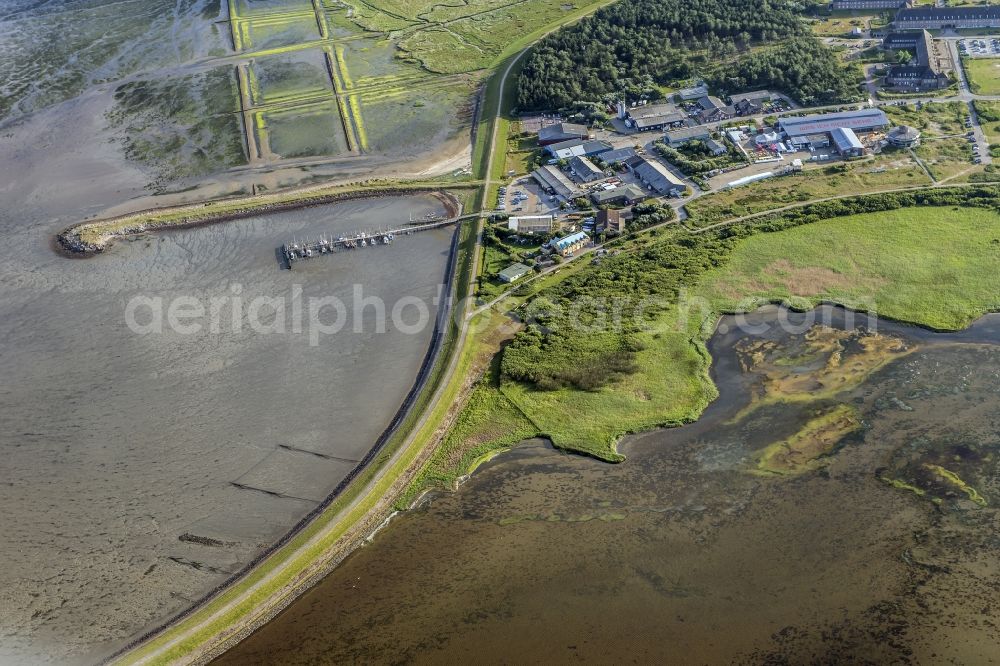 Sylt from above - Townscape on the seacoast of North Sea in Rantum (Sylt) in the state Schleswig-Holstein.Sportboathabour at low tide