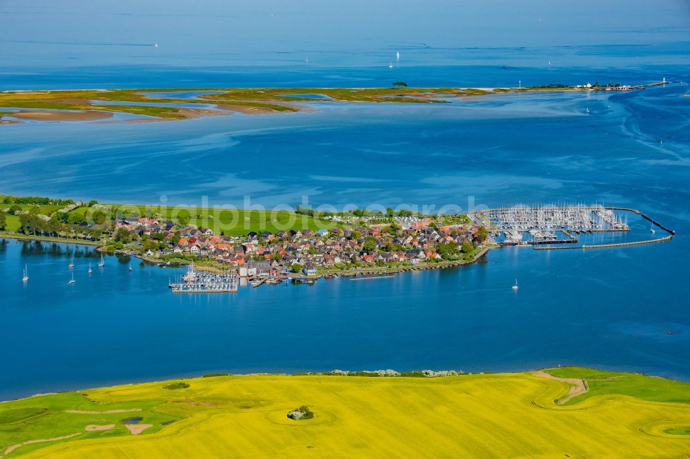 Aerial image Maasholm - Town view with the sailing ports on the seashore of the Baltic Sea in Maasholm in the state of Schleswig-Holstein