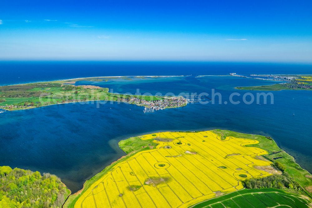 Aerial image Maasholm - Town view with the sailing ports on the seashore of the Baltic Sea in Maasholm in the state of Schleswig-Holstein