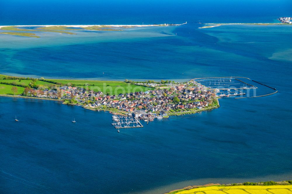 Aerial photograph Maasholm - Town view with the sailing ports on the seashore of the Baltic Sea in Maasholm in the state of Schleswig-Holstein