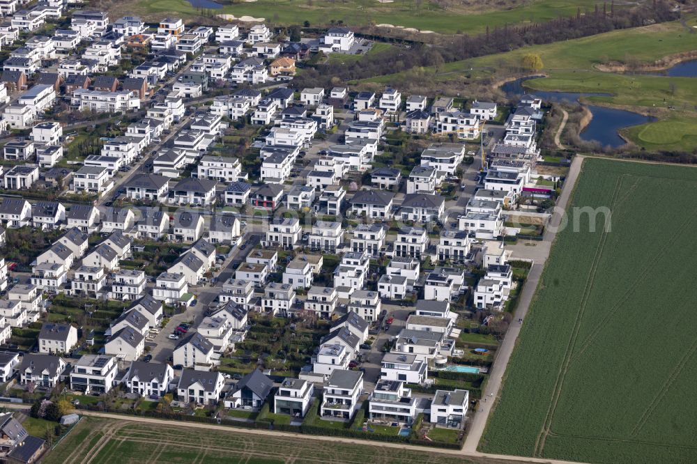 Aerial image Köln - Residential area of an apartment building settlement on Blaugasse in the district of Widdersdorf in Cologne in the federal state of North Rhine-Westphalia, Germany