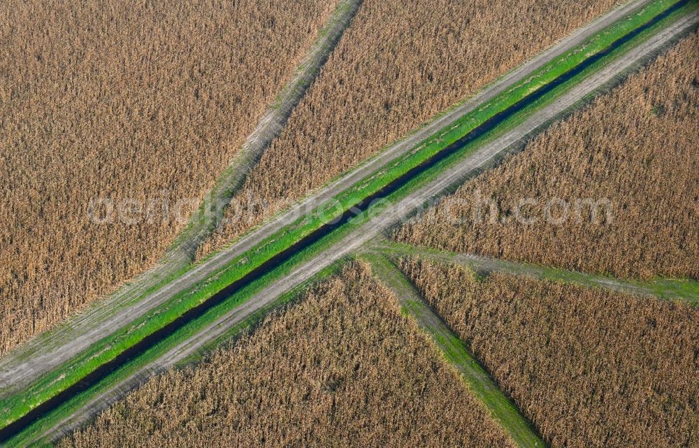 Aerial photograph Schmachtenhagen - Irrigation and Melioration- channels on agricultural fields in Schmachtenhagen in the state Brandenburg, Germany