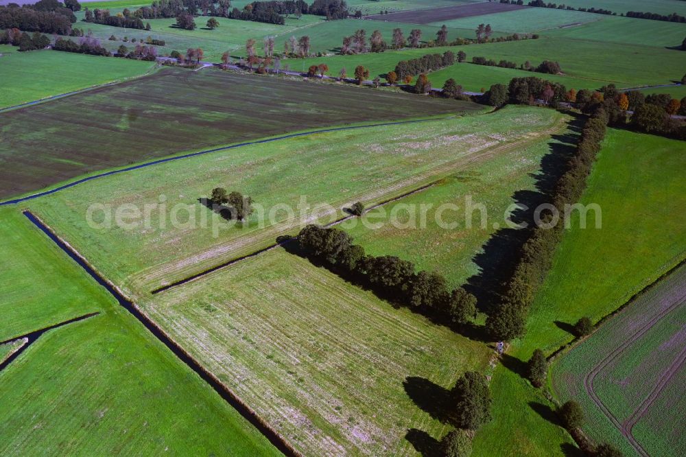 Kalbe (Milde) from above - Irrigation and Melioration- channels on agricultural fields at Bruechau in Kalbe (Milde) in the state Saxony-Anhalt, Germany