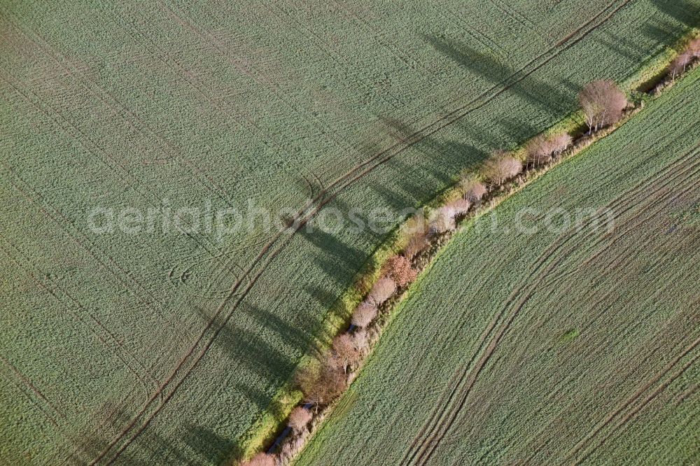 Jacobsdorf from the bird's eye view: Irrigation and Melioration- channels on agricultural fields in Pillgram in the state Brandenburg