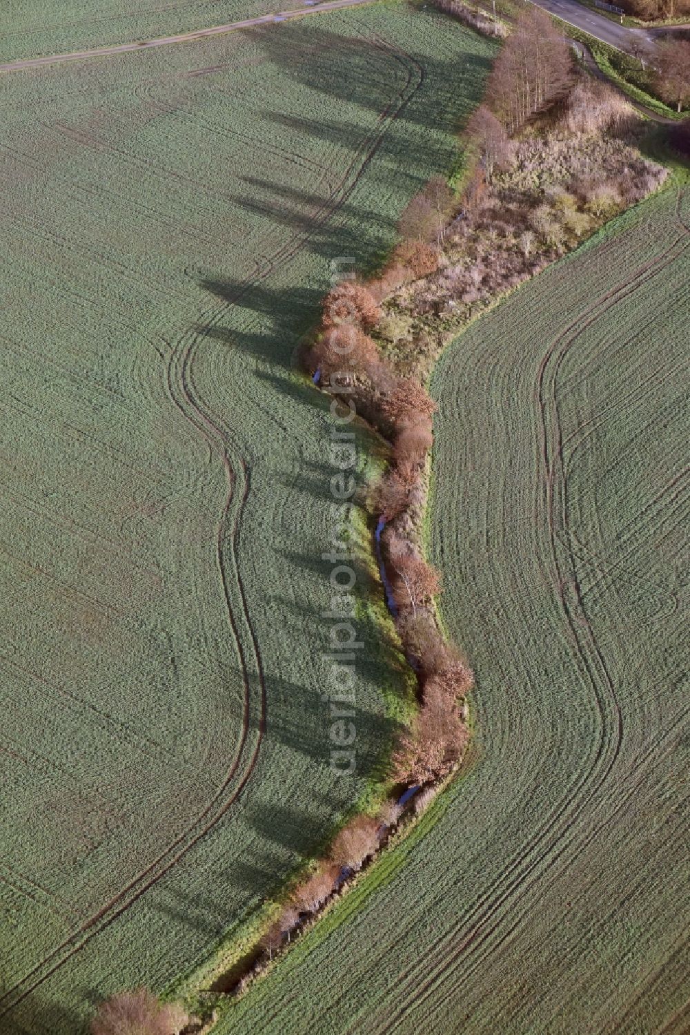 Aerial photograph Jacobsdorf - Irrigation and Melioration- channels on agricultural fields in Pillgram in the state Brandenburg