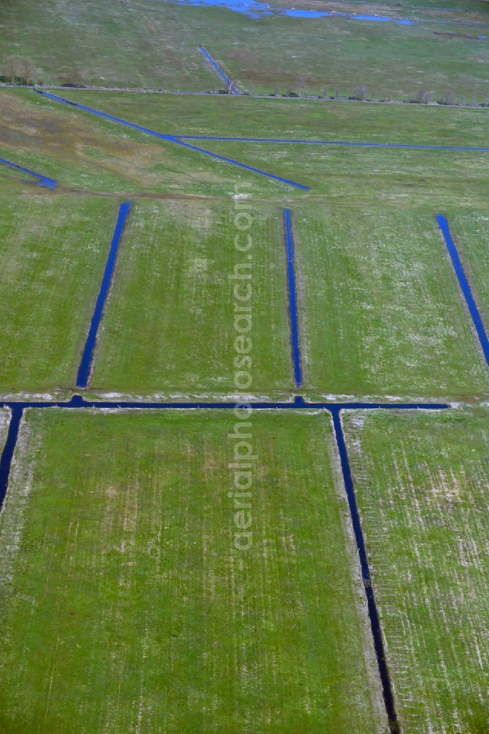 Aerial image Zirchow - Irrigation and Melioration- channels on agricultural fields in Zirchow on the island of Usedom in the state Mecklenburg - Western Pomerania, Germany