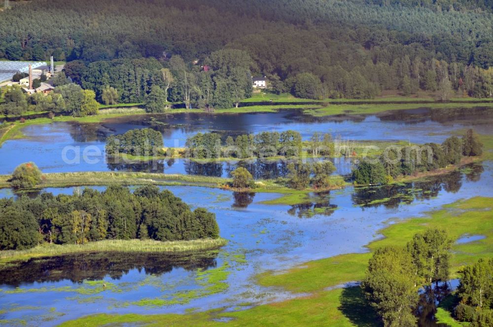 Spreenhagen from the bird's eye view: View of the Mueggelspree near Spreenhagen in the state Brandenburg