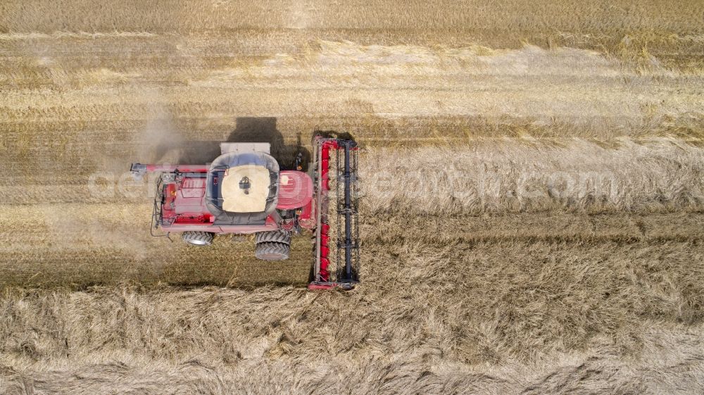 Zapel from the bird's eye view: Harvester-thresher on a grain field at harvest time in Zapel in the state Mecklenburg - Western Pomerania, Germany