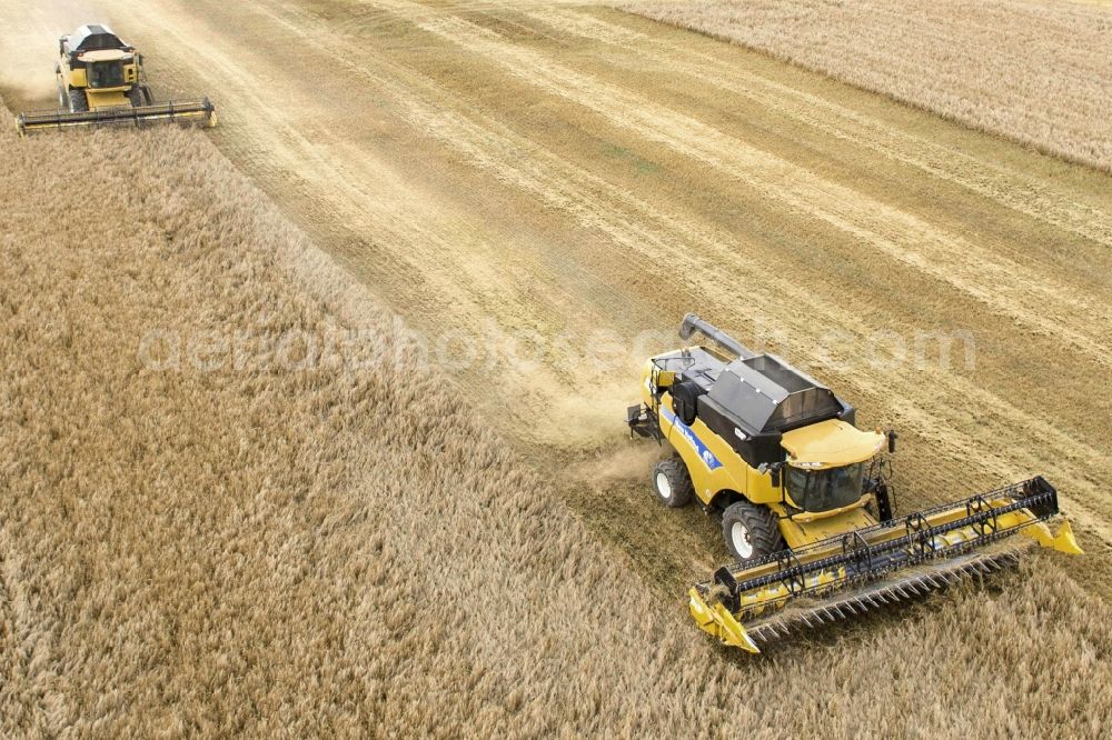 Grimma from the bird's eye view: Combines the harvest - to use a field in agriculture in Grimma in Saxony