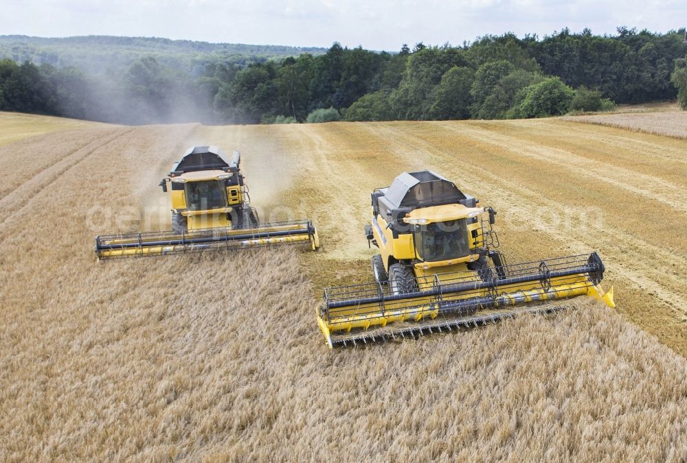 Aerial image Grimma - Combines the harvest - to use a field in agriculture in Grimma in Saxony