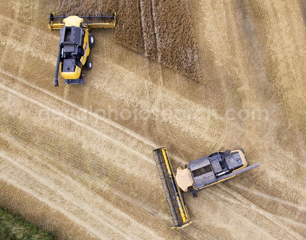 Grimma from above - Combines the harvest - to use a field in agriculture in Grimma in Saxony