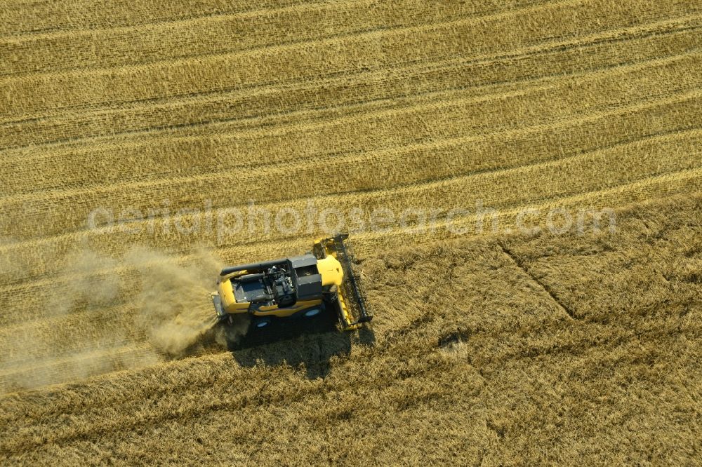 Aerial image Rauschwitz - Combines an agricultural concern at harvest on a grain field in Rauschwitz in Thuringia