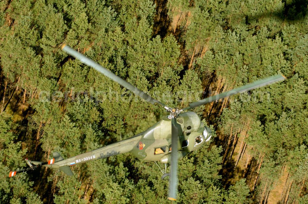 Finow from above - MI-2 Helikopter in Bemalung der ehemaligen NVA-Luftstreitkräfte (Nationale Volksarmee) der DDR mit noch am Rumpf sichtbarer taktischer Nummer der Bundeswehr im Anflug auf den Flugplatz Finow / Eberswalde zum historischen Oldtimertreffen auf dem Freigelände der Luftfahrthistorischen Sammlung. Das Luftfahrzeug fliegt heute unter der russischen Kennung RA-3314 K.