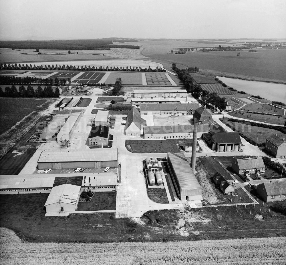 Cunnersdorf from above - Dairy plant and animal breeding stables with cows in Cunnersdorf in the state Saxony, Germany