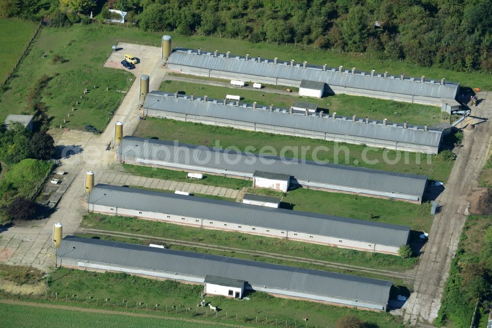 Aerial image Dingelstädt - Dairy plant and animal breeding stables with cows in Dingelstaedt in the state Thuringia