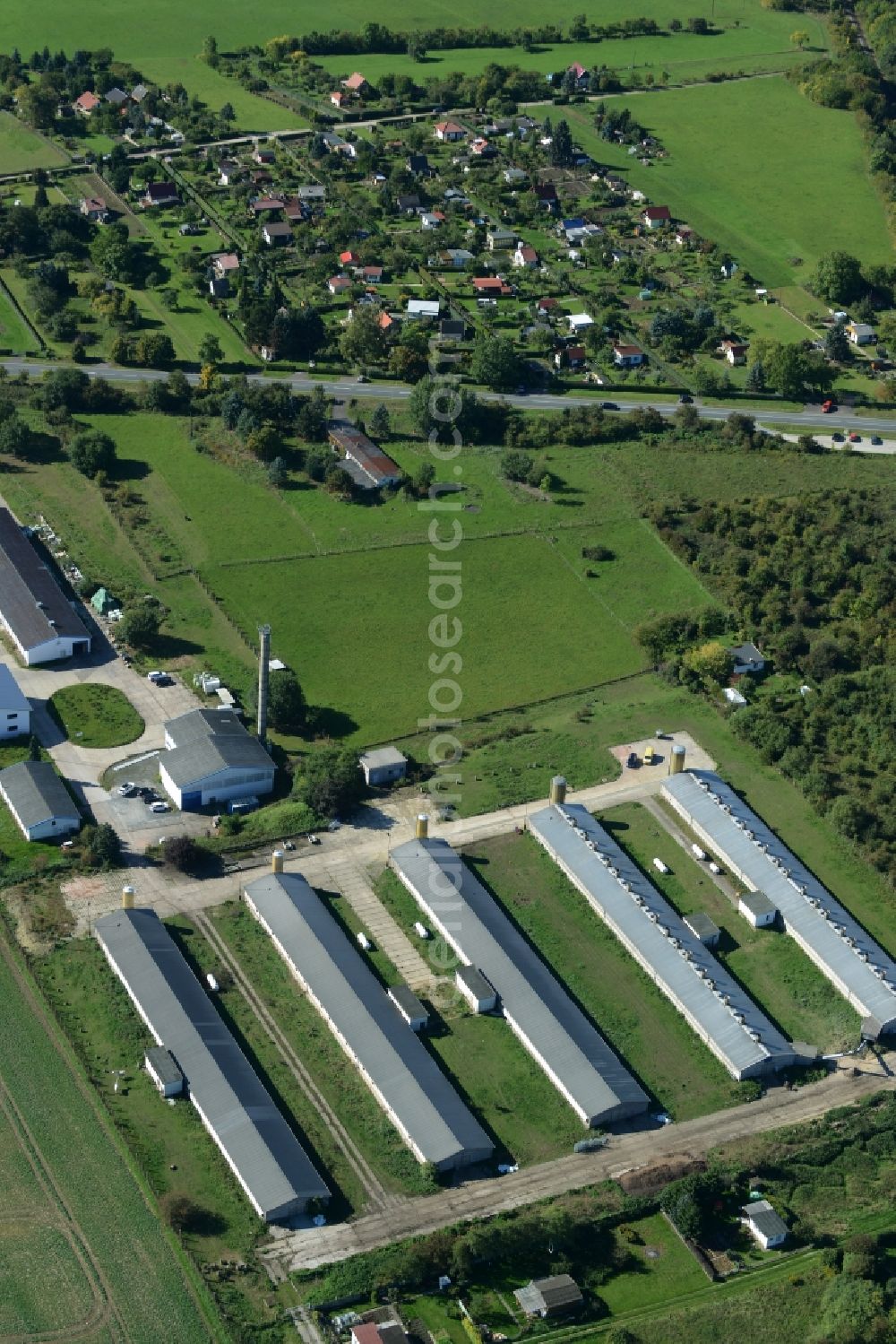 Aerial photograph Dingelstädt - Dairy plant and animal breeding stables with cows in Dingelstaedt in the state Thuringia